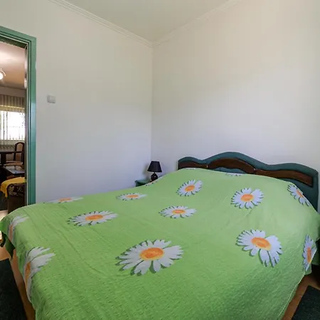 Vikendica Mrvica בית נופש *